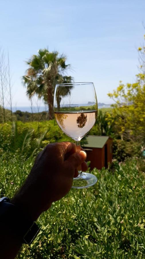 Gite Vue Mer La Cadiere-d'Azur Luaran gambar