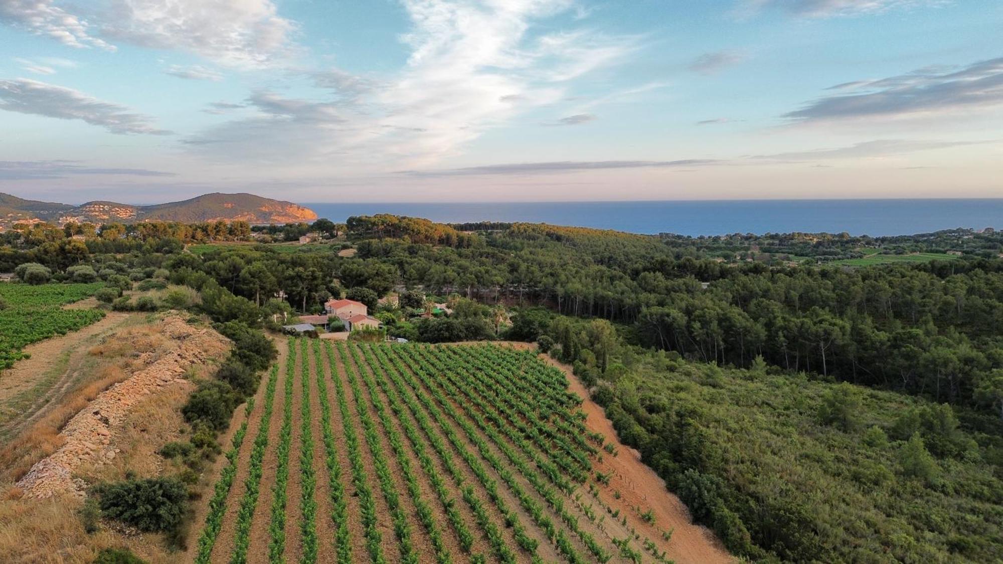Gite Vue Mer La Cadiere-d'Azur Luaran gambar